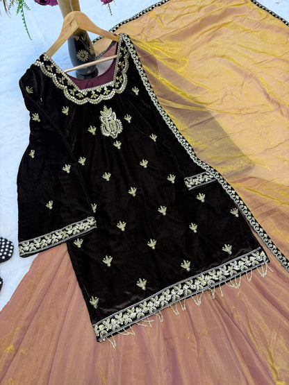 New Designer Party Wear Look Top , Lehega Plazzo and Dupatta